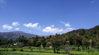Blog 1